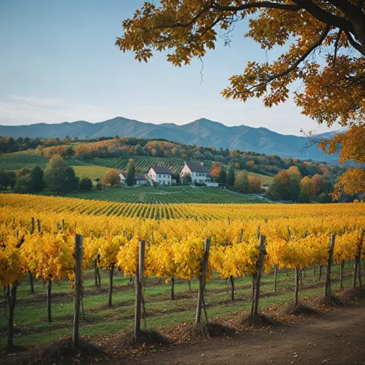 A journey through the best wine regions to visit for unforgettable vineyard experiences
